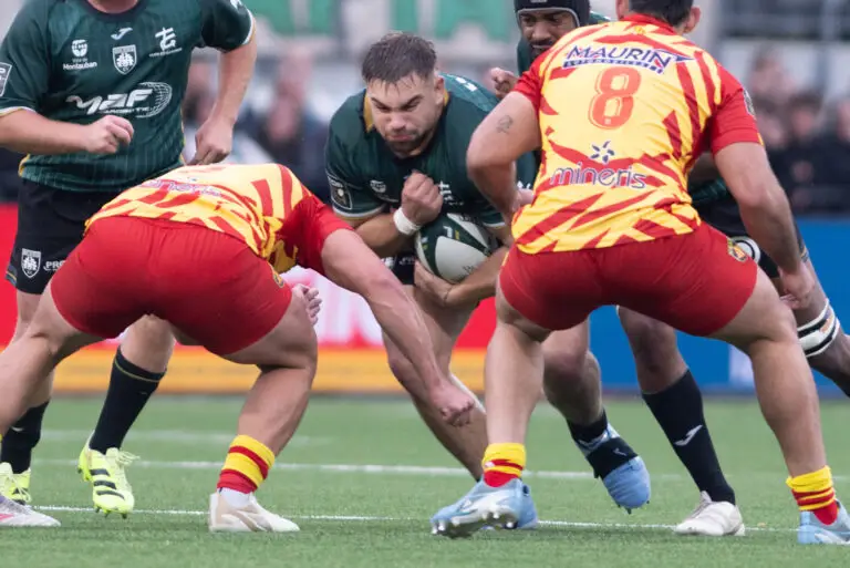 Top 14: raging lions, lost sheep and all-you-can-eat desserts - our review of round 8