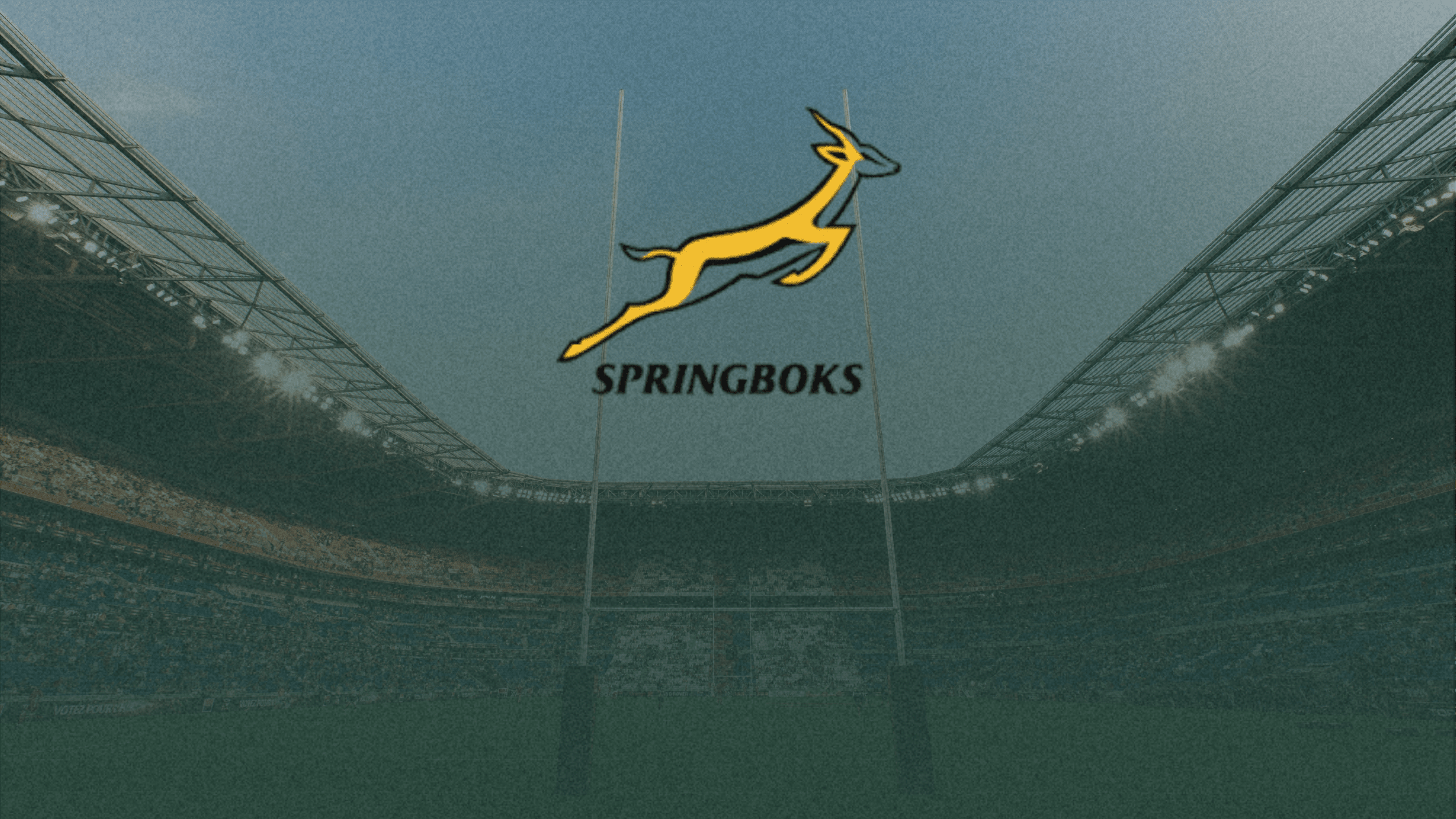 Kolisi lasted just twenty-four minutes